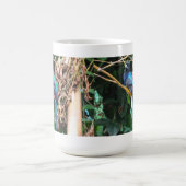 Langschwanz-Blau-Vogel Kaffeetasse (Mittel)