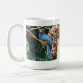 Langschwanz-Blau-Vogel Kaffeetasse (Links)