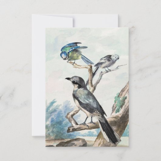 Langschwanz, blaues Tit und großer Graushrike Einladung (Vorderseite)