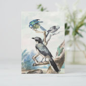 Langschwanz, blaues Tit und großer Graushrike Einladung (Stehend Vorderseite)