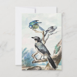 Langschwanz, blaues Tit und großer Graushrike Einladung