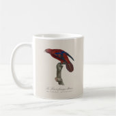 Langschwanz-Lori, Trichoglossus borneus Kaffeetasse (Links)