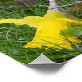 Langschwanz Poster (Ecke)