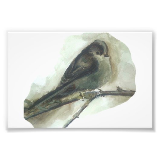 Langschwanzgeflügel-Aquarell Fotodruck (Vorne)