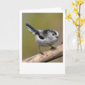 Langschwanzmeise. Karte (Gelbe Blume)