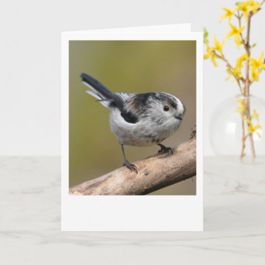 Langschwanzmeise. Karte (Gelbe Blume)