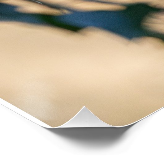 Langschwanzmeise Poster (Ecke)