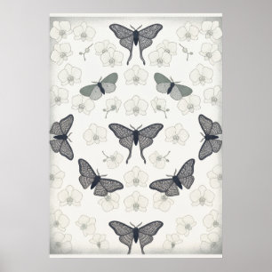 Langschwanzmotten-Elfenbein-Orchideen-Musterplakat Poster