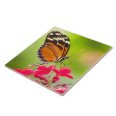 Langschwanzschmetterling auf roter Blume Fliese (Seite)