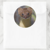 Langschwanzschwaasel Runder Aufkleber (Tasche)