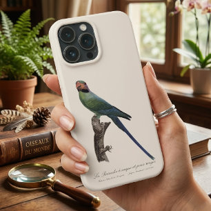 Langschwanzsittich, Psittacula Longicauda Case-Mate iPhone Hülle
