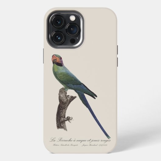 Langschwanzsittich, Psittacula Longicauda iPhone Hülle (Rückseite)