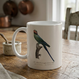Langschwanzsittich, Psittacula Longicauda Kaffeetasse