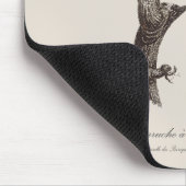 Langschwanzsittich, Psittacula Longicauda Mousepad (Ecke)