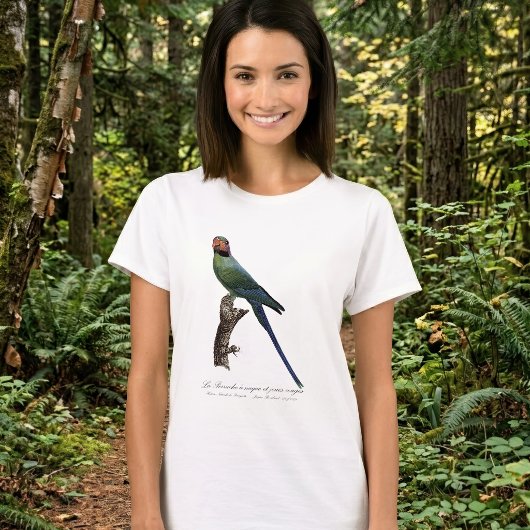 Langschwanzsittich, Psittacula Longicauda T-Shirt