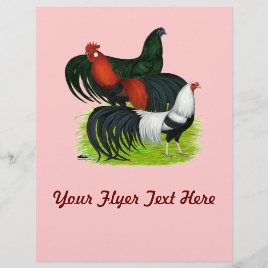 Langschwanztrio Flyer (Vorne)