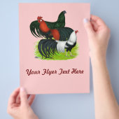 Langschwanztrio Flyer (Hand)