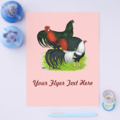 Langschwanztrio Flyer (Einzeln)