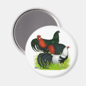 Langschwanztrio Magnet (Vorderseite/Rückseite)