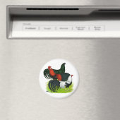 Langschwanztrio Magnet (In Situ (Geschirrspüler))