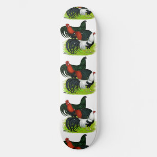Langschwanztrio Skateboard