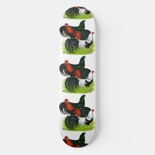 Langschwanztrio Skateboard (Vorderseite)