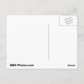 Langspitze, Longs Peak Postkarte (Rückseite)