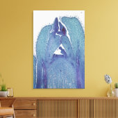 Längsschnitt eines Ahornstammes (Acer) Leinwanddruck (Insitu (Wohnzimmer))