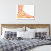 Längsschnittbereich des menschlichen Fußes Leinwanddruck (Insitu (Schlafzimmer))