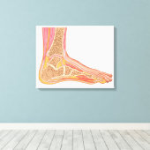 Längsschnittbereich des menschlichen Fußes Leinwanddruck (Insitu (Holzboden))