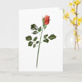 Langstamm-Rote Rose Karte (Gelbe Blume)