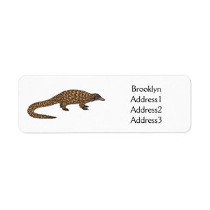 Langtailed Pangolin Cartoon