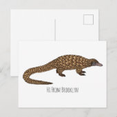 Langtailed Pangolin Cartoon Postkarte (Vorne/Hinten)