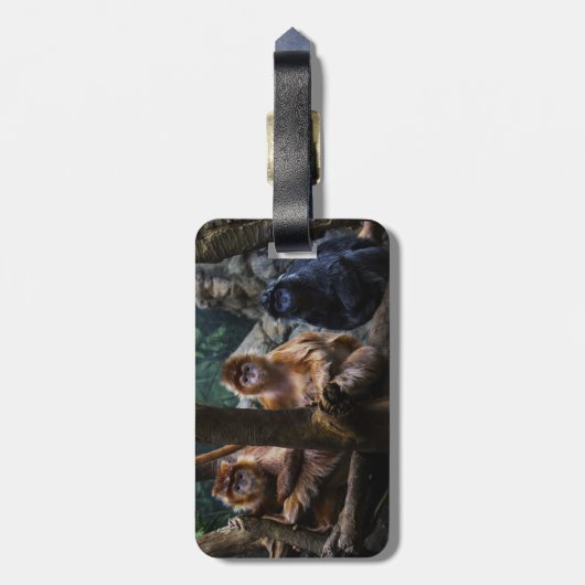 Langur-Affe Gepäckanhänger (Rückseite vertikal)