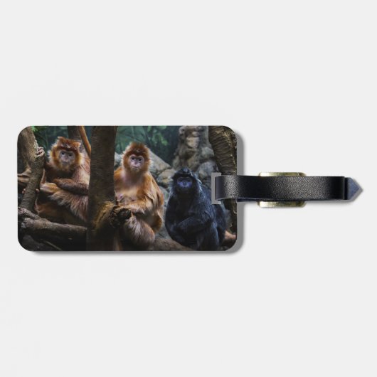 Langur-Affe Gepäckanhänger (Rückseite horizontal)
