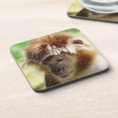 LANGUR MONKEY GETRÄNKEUNTERSETZER (Linke Seite)