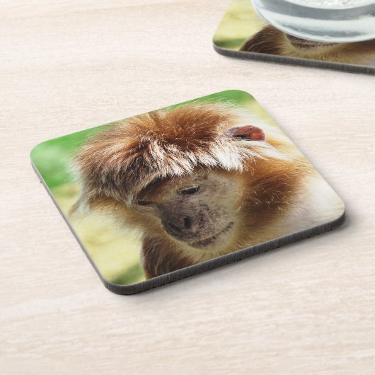 LANGUR MONKEY GETRÄNKEUNTERSETZER (Linke Seite)