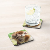 LANGUR MONKEY GETRÄNKEUNTERSETZER (Rechte Seite)