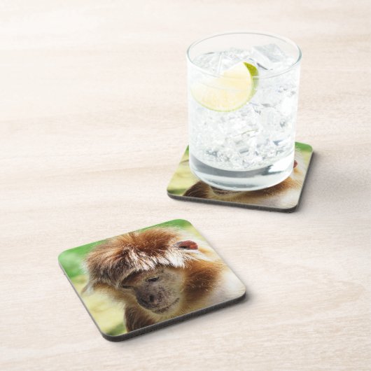 LANGUR MONKEY GETRÄNKEUNTERSETZER (Rechte Seite)