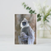 Langur Postkarte (Stehend Vorderseite)