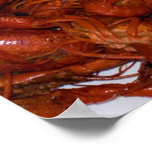 Languste Poster (Ecke)