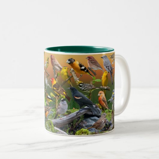 Langvögel im Westen Zweifarbige Tasse (VorderseiteRechts)