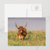 Langweilig Stehend in einer Feldpostkarte Postkarte (Vorne/Hinten)