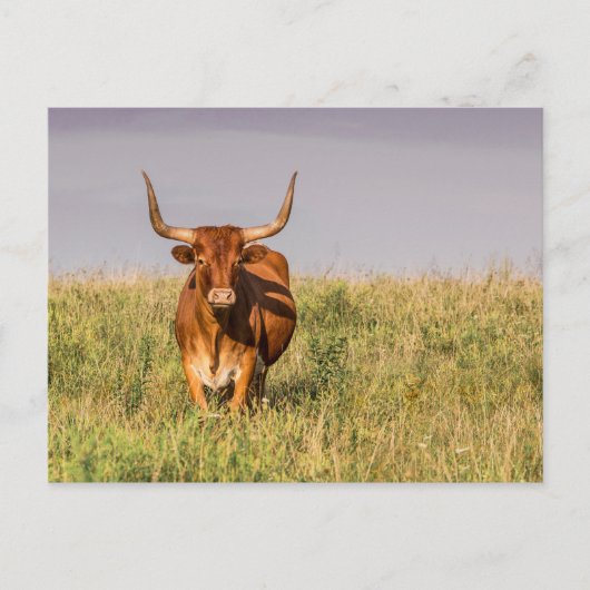Langweilig Stehend in einer Feldpostkarte Postkarte (Vorderseite)