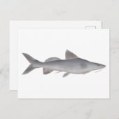 Langweißfisch Postkarte (Vorne/Hinten)