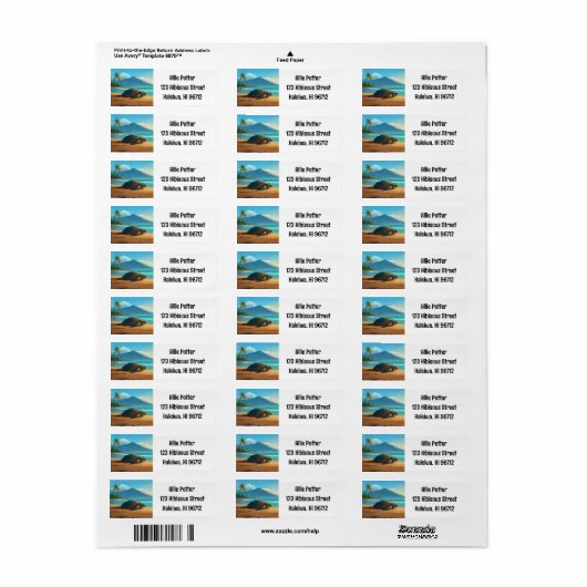 Laniakea Beach Haleiwa Oahu Hawaii Turtle (Vorne)