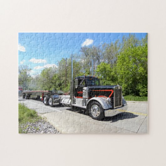 Lanita Kenworth Nadel-Nasen-Puzzlespiel Puzzle (Horizontal)