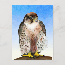 Lanner Falcon Bird Wasserfarbenmalerei Postkarte