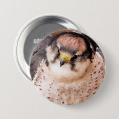 LANNER FALCON BUTTON (Vorne & Hinten)