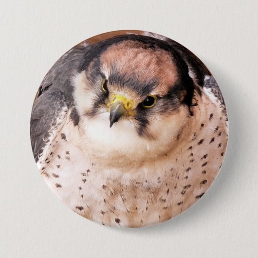 LANNER FALCON BUTTON (Vorderseite)